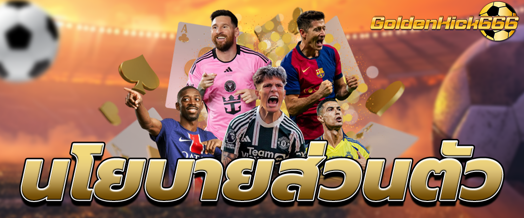 นโยบายความเป็นส่วนตัว