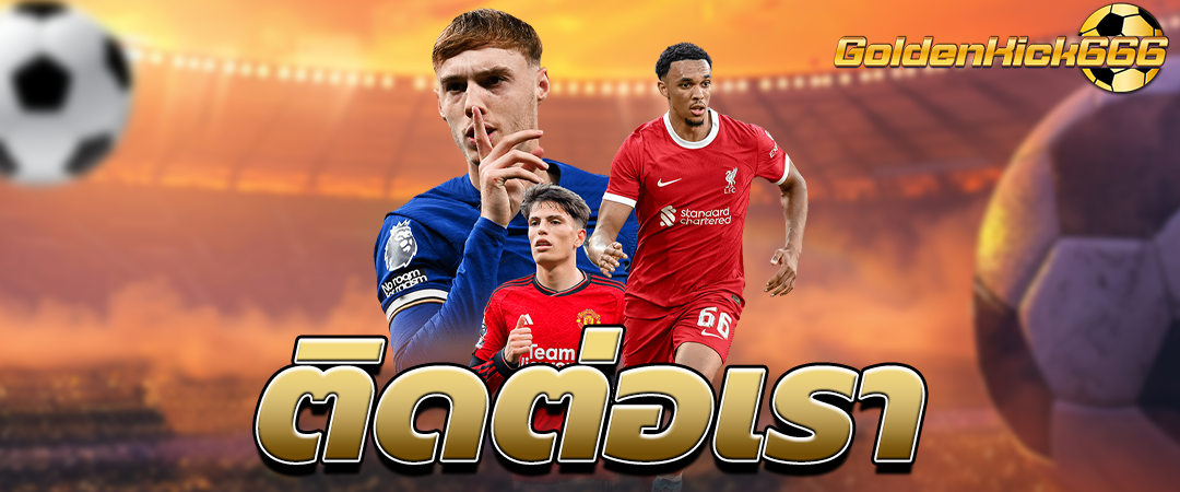 ติดต่อเรา